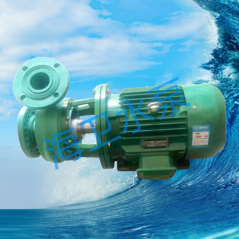 FP80-32-125塑料离心泵（直联式）