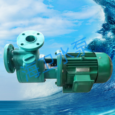 65FPZ-28塑料自吸泵（直联式）