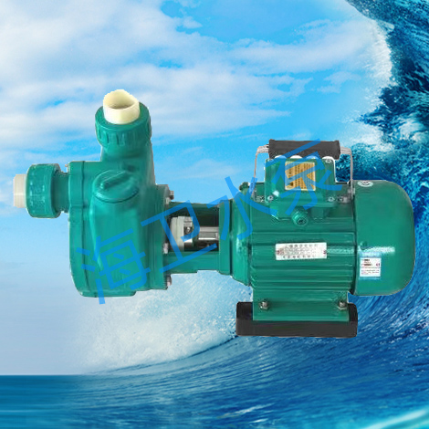 塑料自吸泵（直联式）